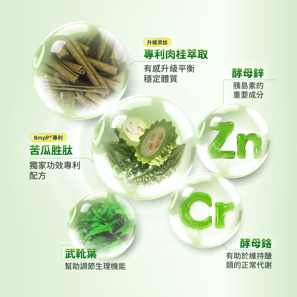 【達摩本草x立適康】BmpP®專利山苦瓜胜肽植物膠囊 DX (120顆/盒) 6